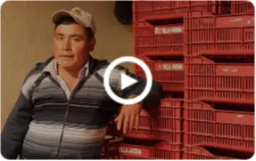 Portada del video
