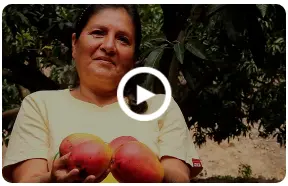 Portada del video
