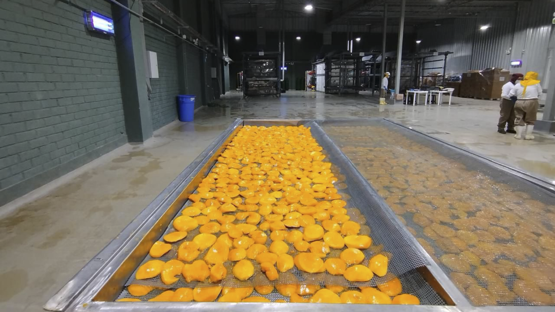 Planta de procesamiento VA Superfoods en Chiclayo