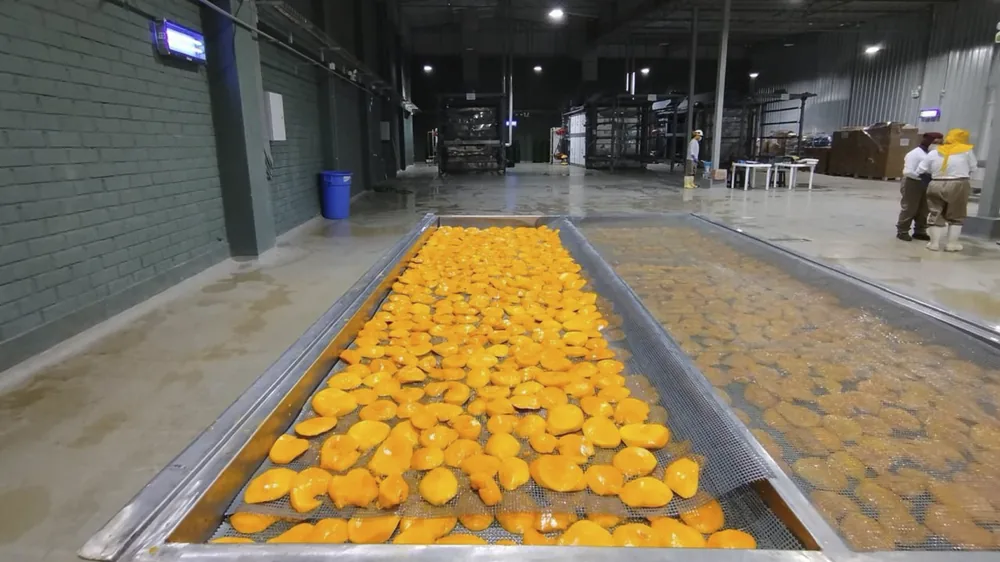 Planta de procesamiento VA Superfoods en Chiclayo